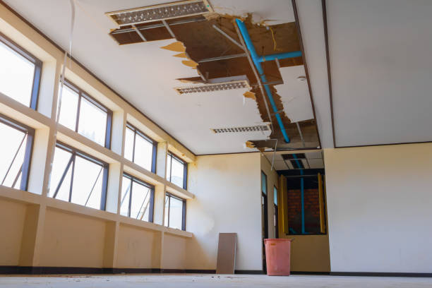Best Water damage restoration near me  in Lucedale, MS