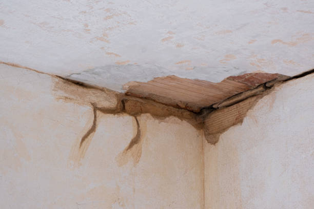 Best Sewage cleanup and water damage restoration  in Lucedale, MS