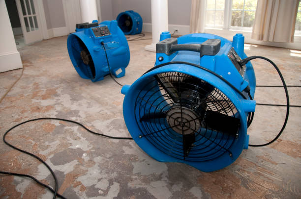 Best Flooded house restoration  in Lucedale, MS