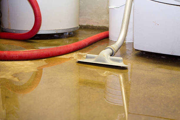 Best Carpet water damage restoration  in Lucedale, MS