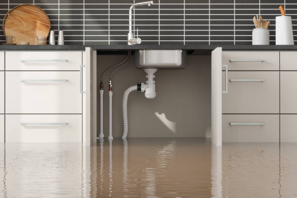 Best Water damage cleanup near me  in Lucedale, MS