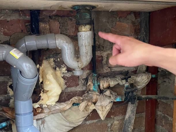 Local water damage restoration in MS