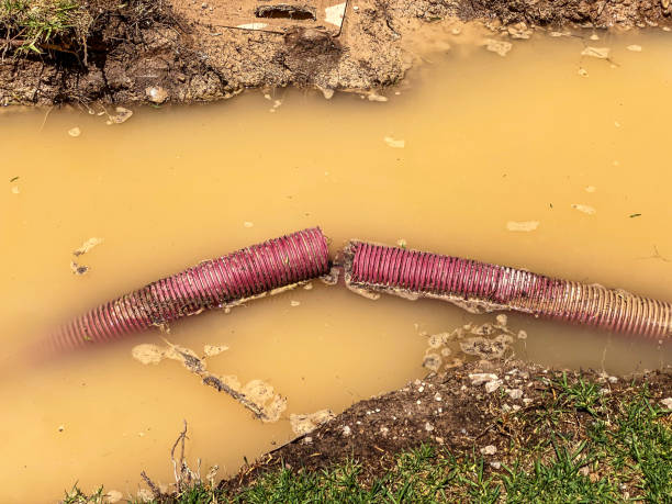 Best Basement water damage restoration  in Lucedale, MS
