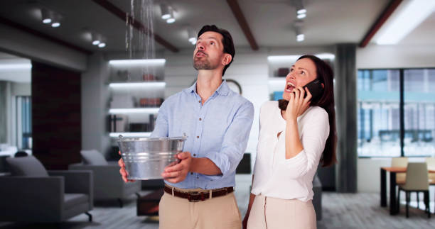 Best Local water damage restoration  in Lucedale, MS