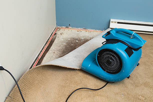 Best Commercial water damage restoration  in Lucedale, MS